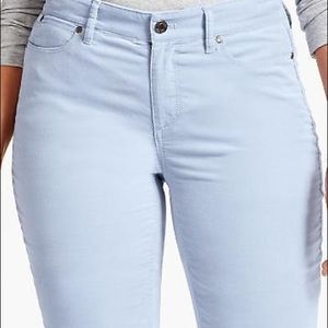 Talbots Blue Velveteen Straight Leg Pants